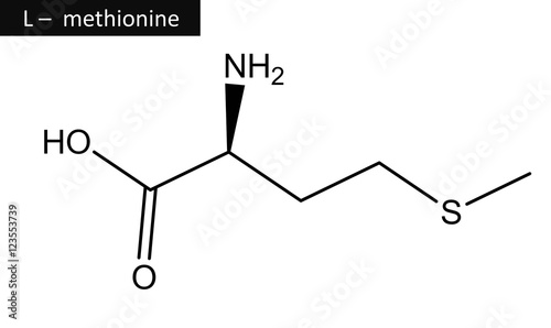 Obraz na plátně Molecular structure of methionine