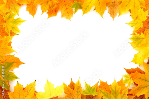 Frame out of real  natural autumn chestnut tree leaves isolated on white background.