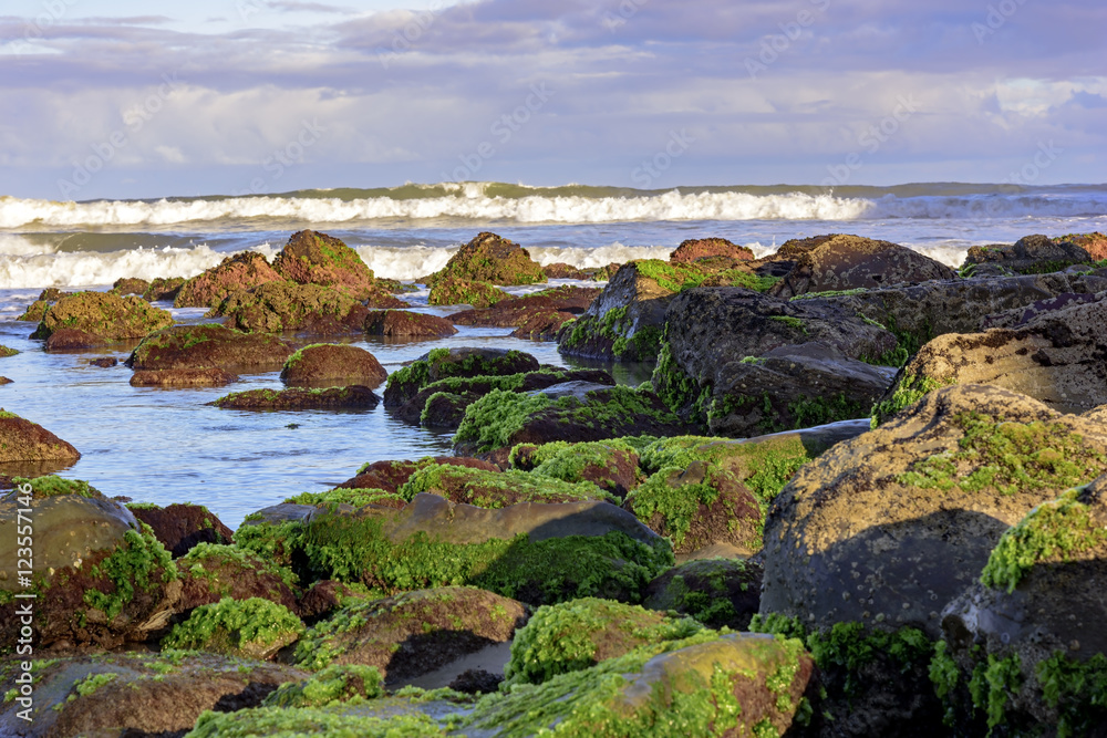 Mossy stones between the waters of the Cal Beach in Torres city, Rio Grande do Sul