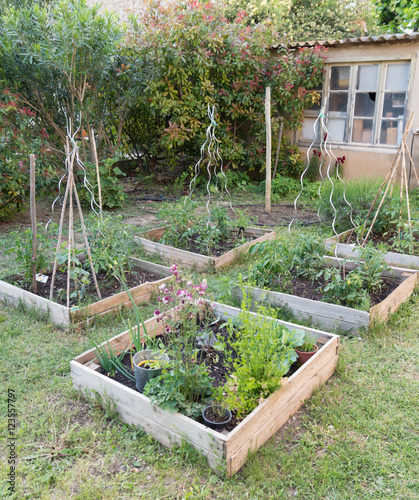 Carrés de potager
