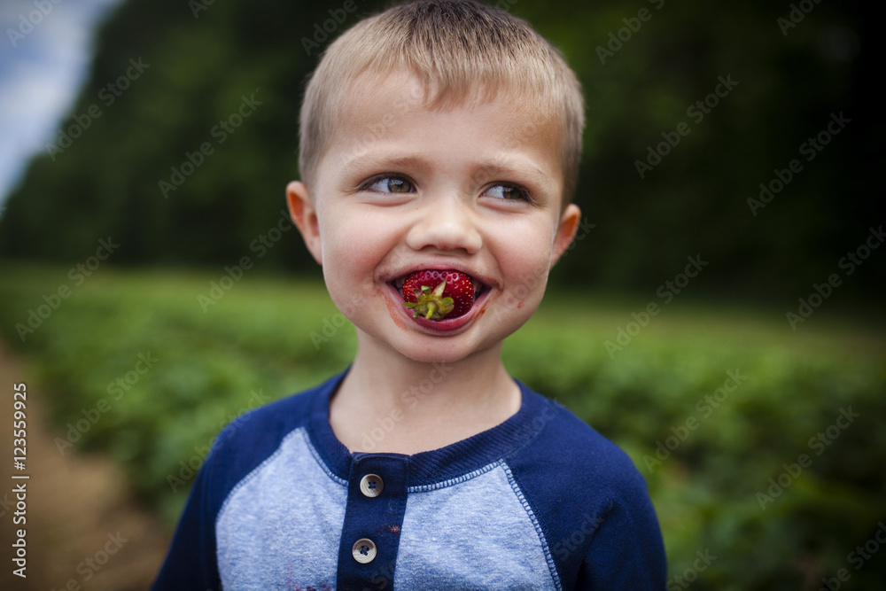 Happy boy looking away while eating strawberry Happy boy looking away while eating strawberry