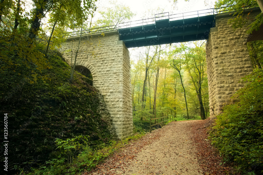Viaduct in the autumn forest
