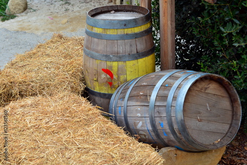 barili di vino a fianco di balle di fieno photo