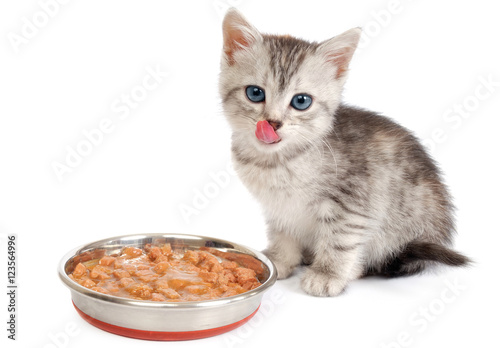 Kitten near a bowl with food. Isolated on white