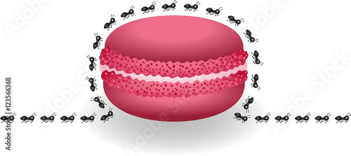 Ants around macaroon
