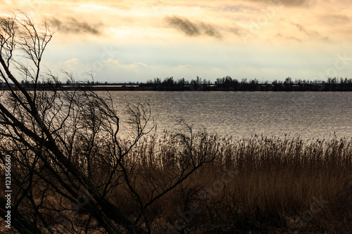 Oostvaardersplassen in Holland