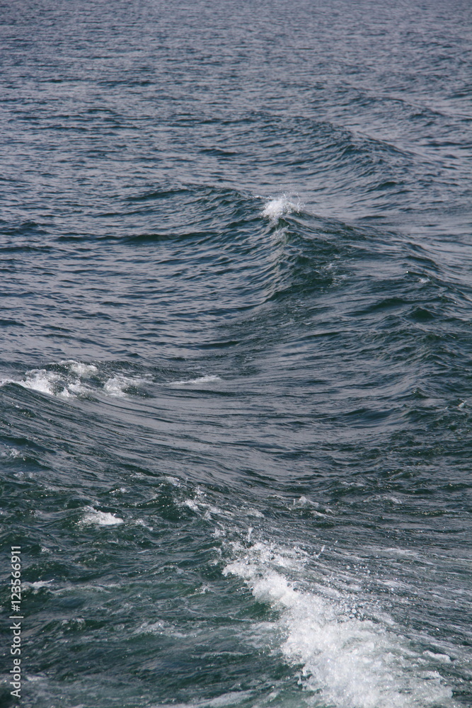 Fototapeta premium 波02