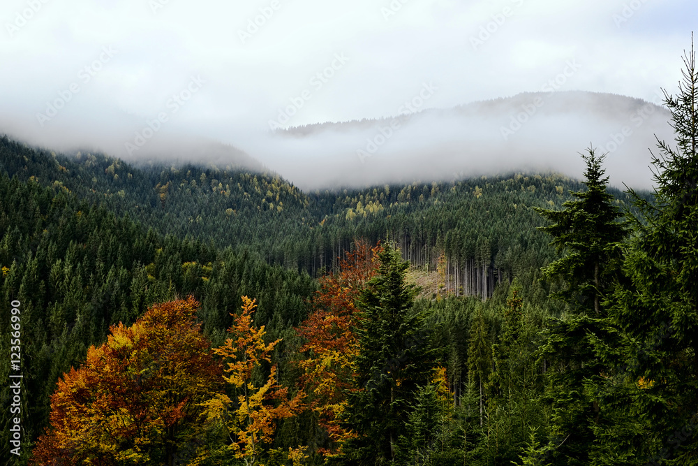 Autumn in Carpathians, Ukraine