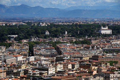  View of the city of Rome from the height of bird flight