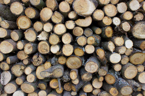 Pile of chopped fire wood prepared for winter