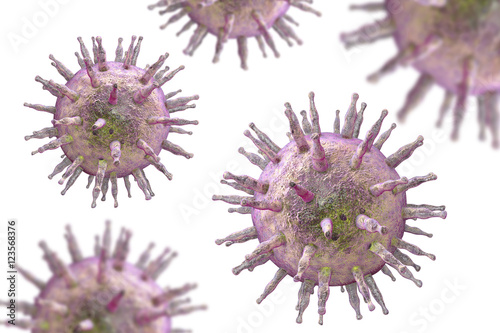 Epstein-Barr virus EBV, a herpes virus which causes infectious mononucleosis and Burkitt's lymphoma isolated on white background. 3D illustration photo