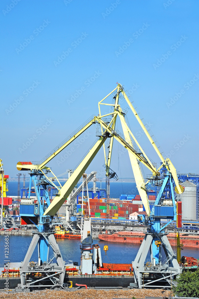 Bulk cargo ship under port crane