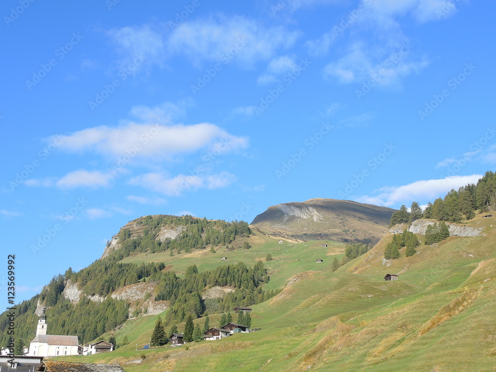 Traditional Swiss mountain landscape. Green area fall season with wood