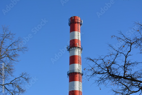 heat and power plant chimney against the blue sky and tree branches