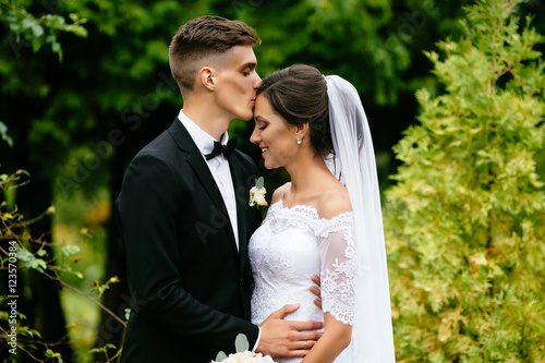 Photo The groom kisses his sweetheart bride at their wedding after ceremony