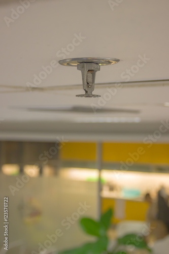 automatic ceiling Fire Sprinkler, select focus at Springkler