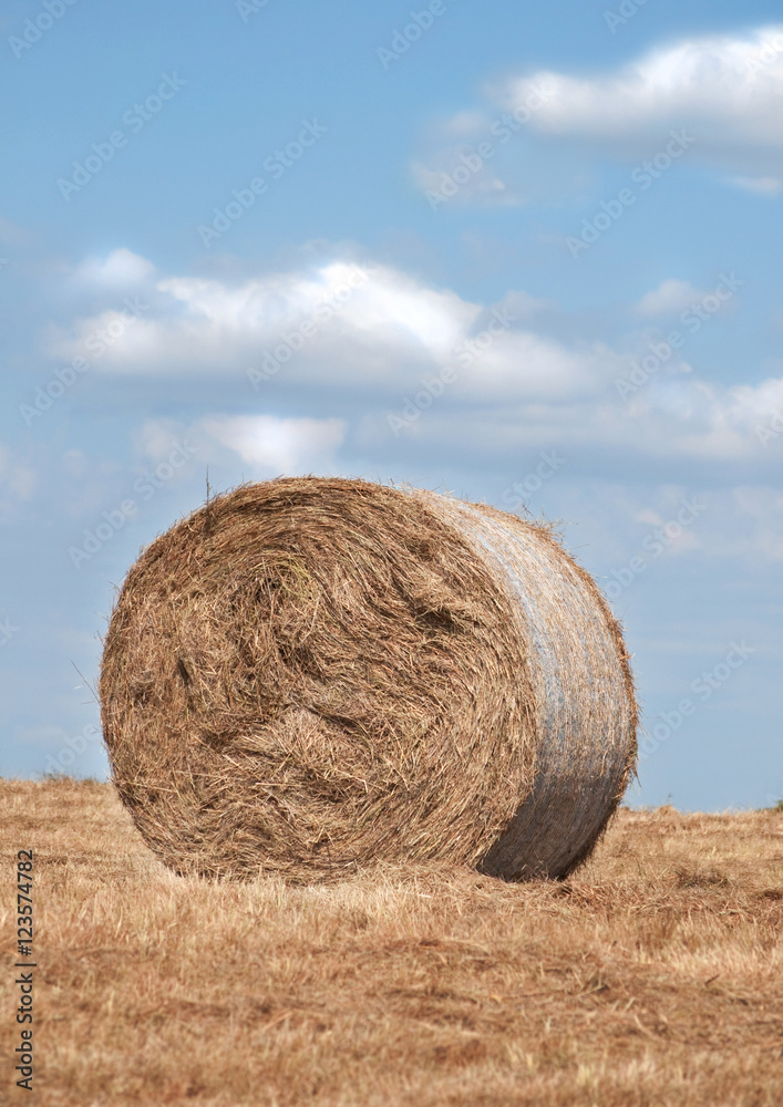 Round bale of prairie hay on field Round bale of prairie hay on field
