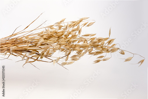 Ears of Oats