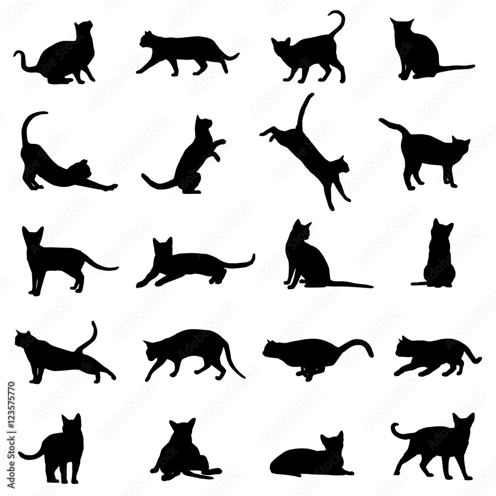 Foto Cat Silhouette Vector