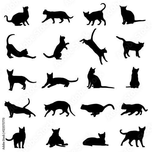 Cat Silhouette Vector