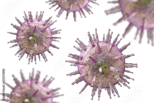 Epstein-Barr virus EBV, a herpes virus which causes infectious mononucleosis and Burkitt's lymphoma isolated on white background. 3D illustration