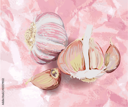 Head and cloves garlic cooking.
Garlics on pink tablecloth