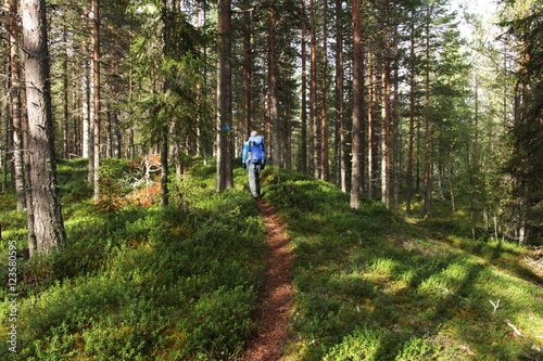 Passeggiata nella foresta2