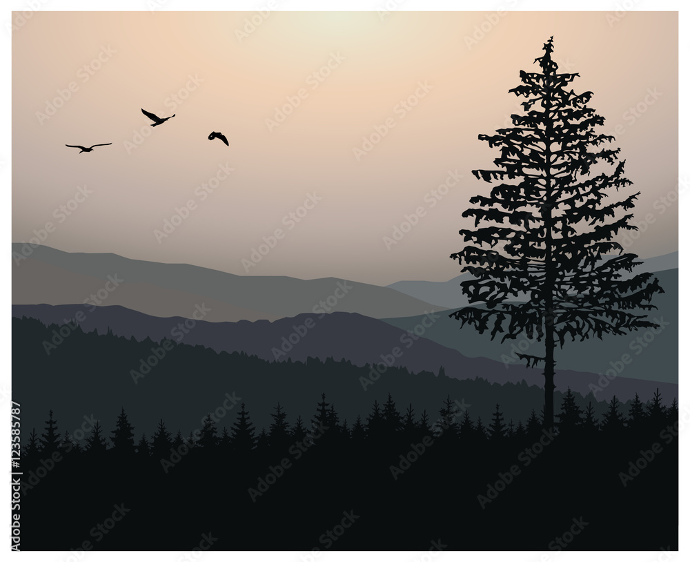 Woodland landscape. Morning in mountains. Birds in sky. Grey tones.