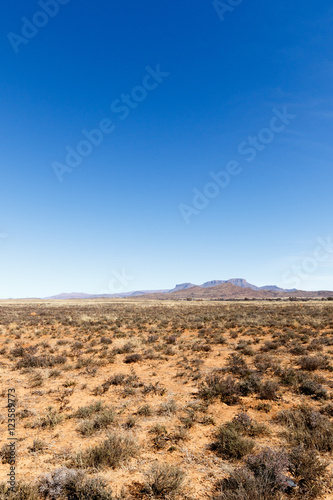 Portrait - Barren field with mountains and blue sky
