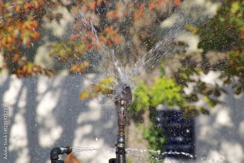 Wasserspiel photo