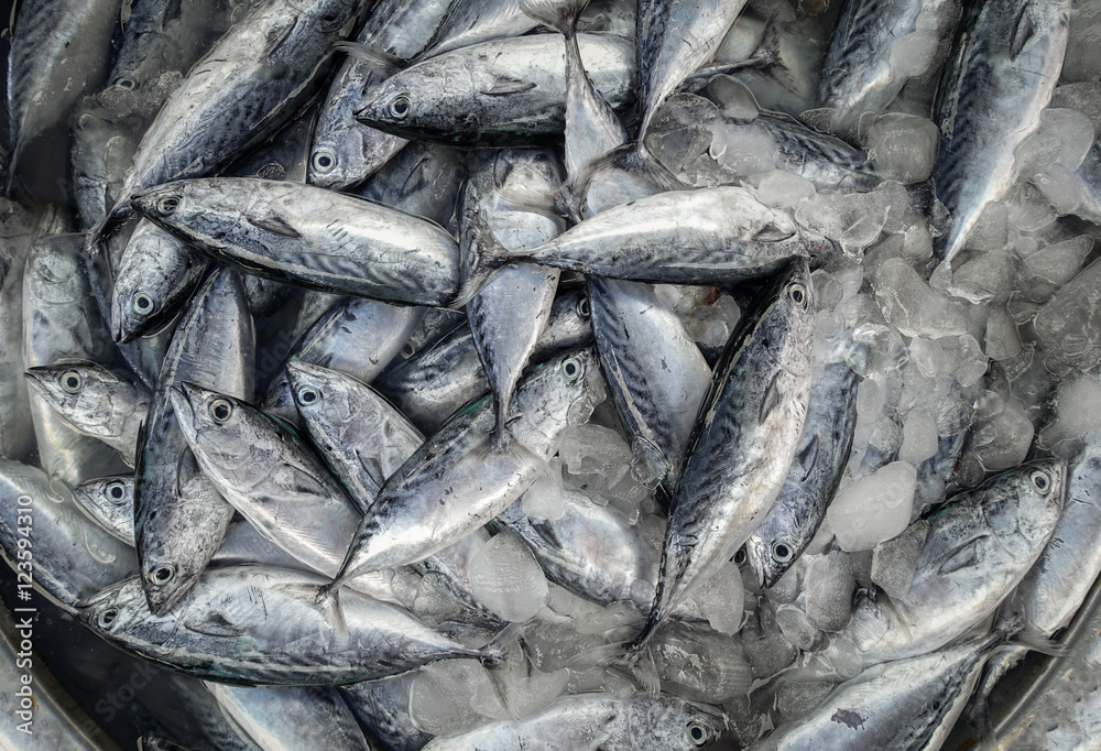 Obraz premium Background of fresh fish at the market place