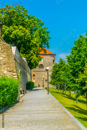 Photography alley leading next to fortification of the bratislava castle