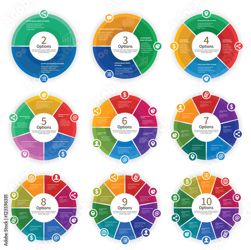 Vector Infographic Options Template