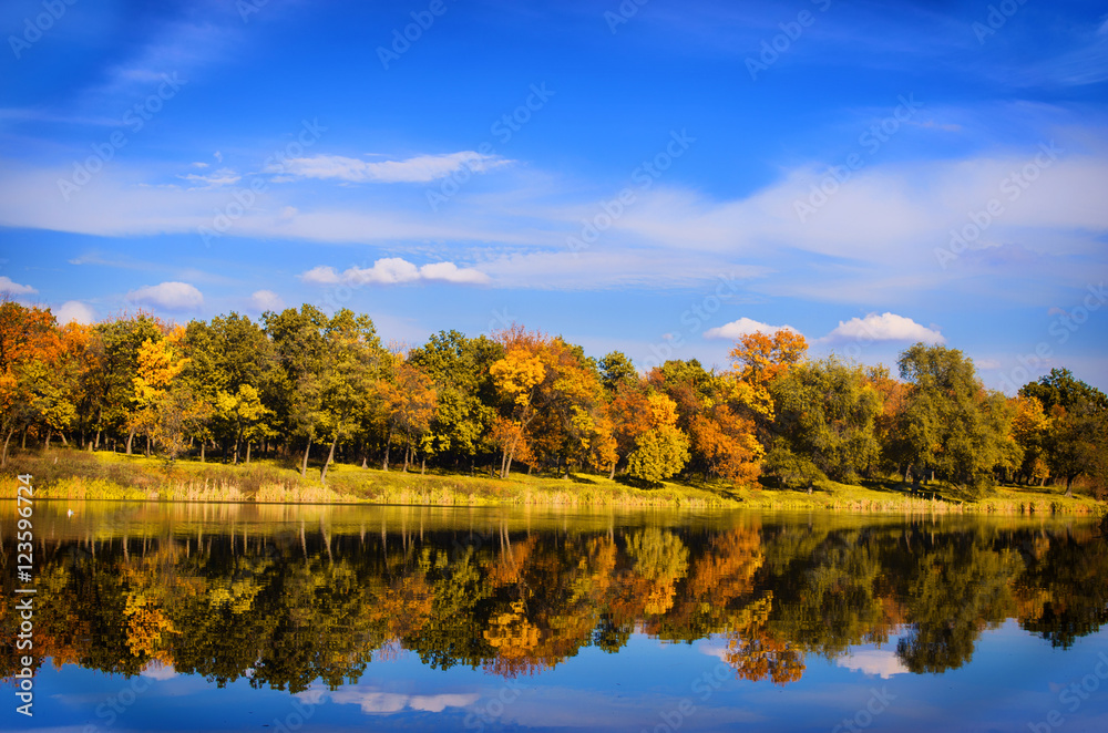 beautiful landscape in autumn sunny day