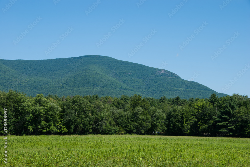 Obraz premium Overlook Mountain from Zena Cornfield
