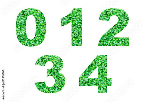 Numbers 0 1 2 3 4 of green grass isolated on white.