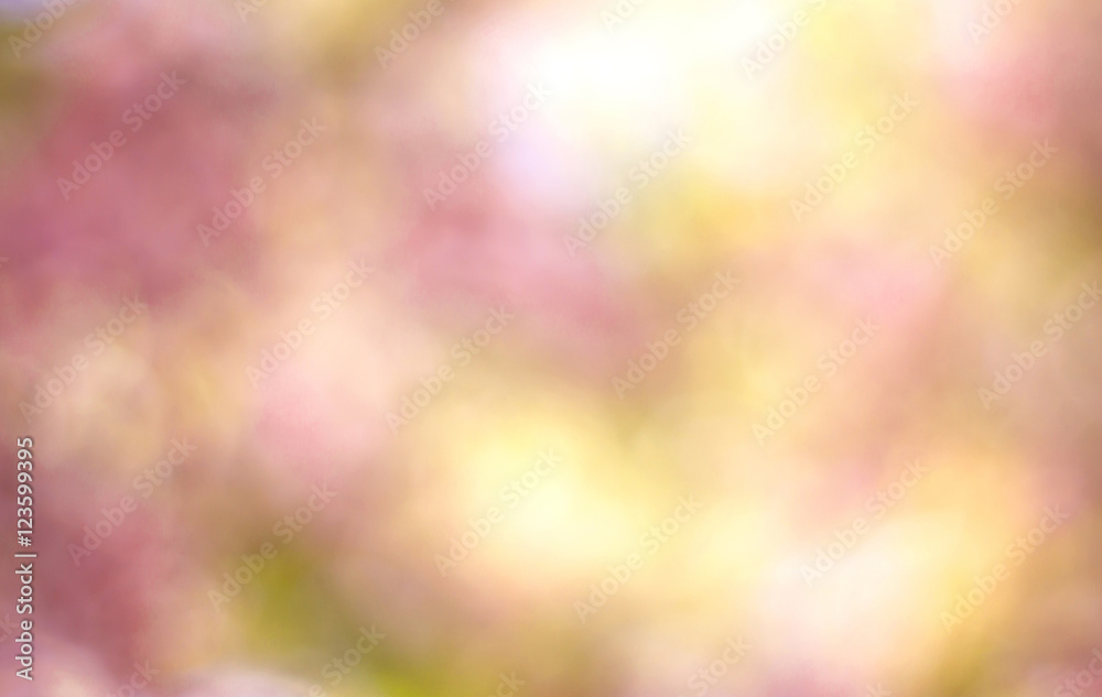 Blurred Background