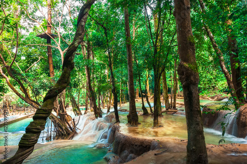 Jangle landscape with amazing turquoise water of Kuang Si cascade waterfall at deep tropical rain forest. Luang Prabang, Laos travel landscape and destinations © PerfectLazybones
