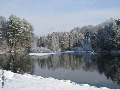 Quiet View of the Lake in Winter