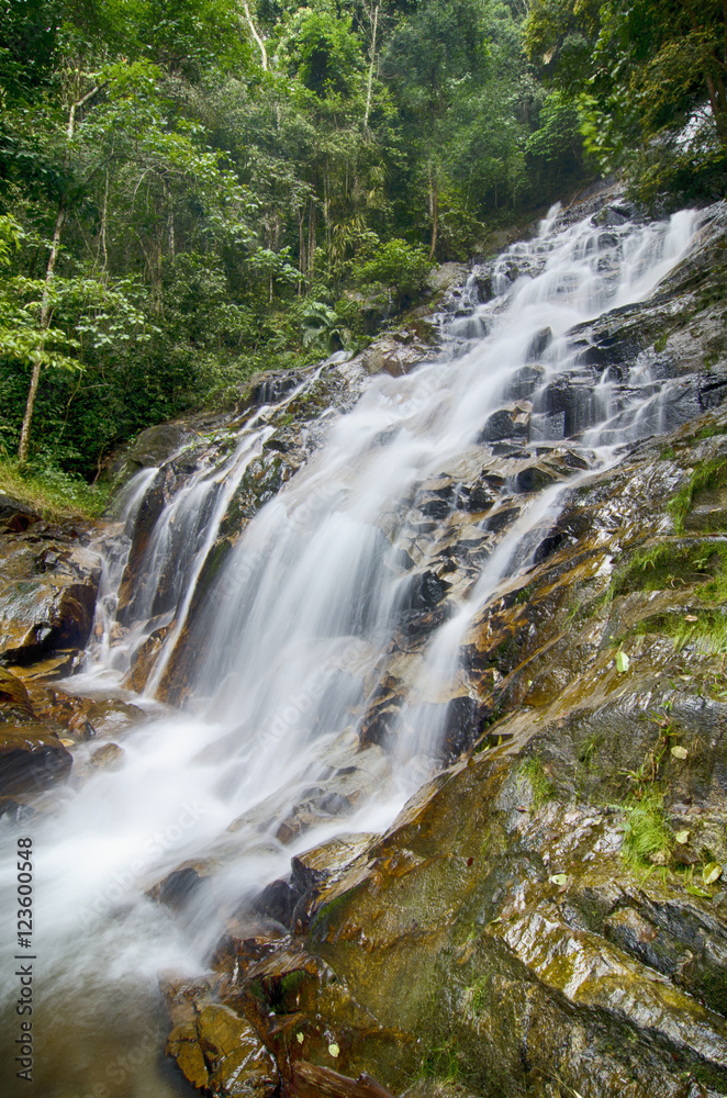 beautifull waterfall surrounded by green nature, the wet rock and mossy around beautifull waterfall surrounded by green nature, the wet rock and mossy around