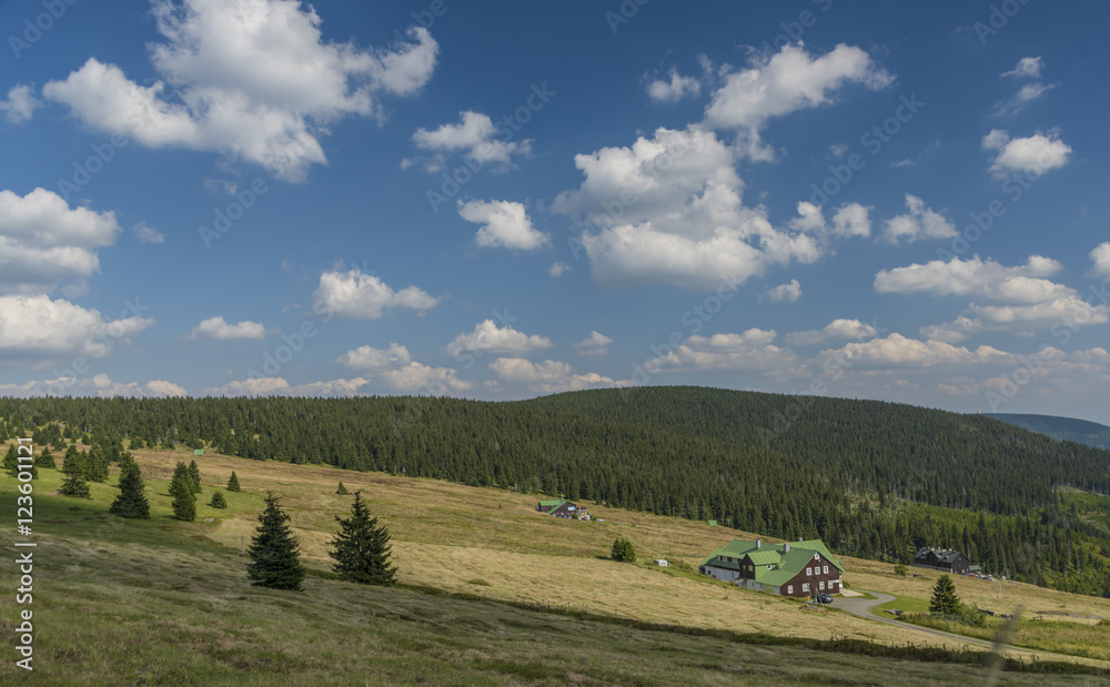 Krkonose mountains in sunny summer day