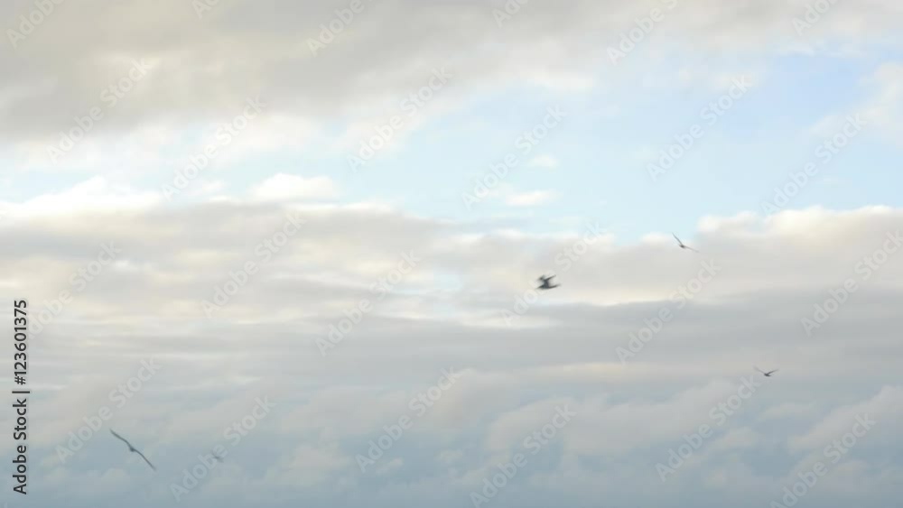 Seagulls fly above waves in the Atlantic Ocean with a cloudy sky in the background. Seagulls fly above waves in the Atlantic Ocean with a cloudy sky in the background.