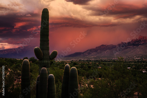 A Monsoon Storm in the Foothills of the Santa Catalina Mountains Bathed in Red Sunset Light. Tucson, Arizona.