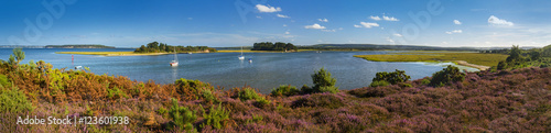 Panorama of Islands in Poole Harbour with Heather foreground photo