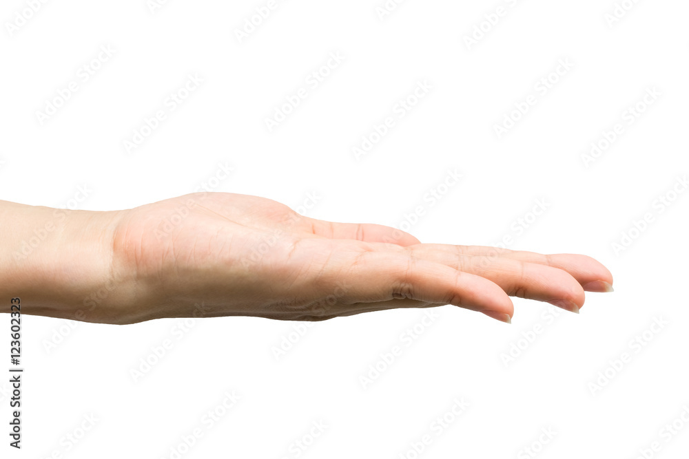 Open woman hand on white background. Clipping path included Open woman hand on white background. Clipping path included