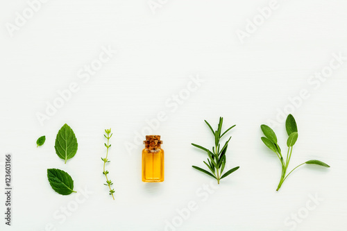 Fotografie Bottle of essential oil with  fresh herbal sage, rosemary, thyme