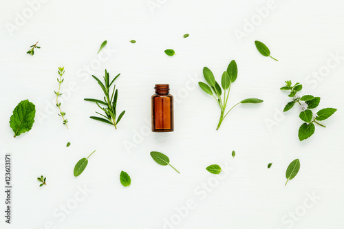 Obraz na plátně Bottle of essential oil with fresh herbal sage, rosemary, lemon
