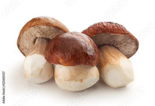 Isolated white mushrooms