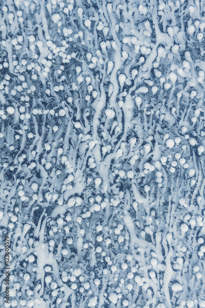 Ice background, uniform texture Ice background, uniform texture