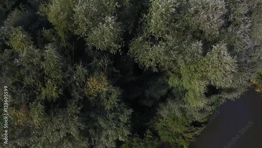 Aerial view of tree tops blowing in the wind, tilting up to reveal a canal side park. Aerial view of tree tops blowing in the wind, tilting up to reveal a canal side park.
